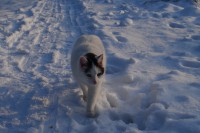 /album/www-pix-fx-de/bild-208-jpg/